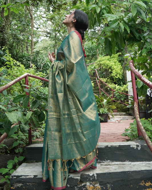 Amvya- Tissue Silk Saree