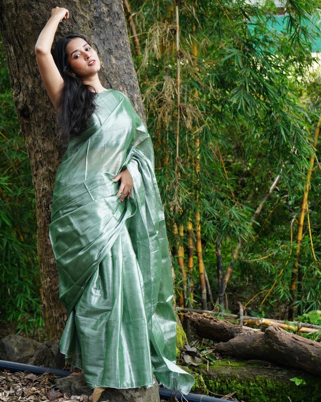 Aurevi- Tissue Silk Saree