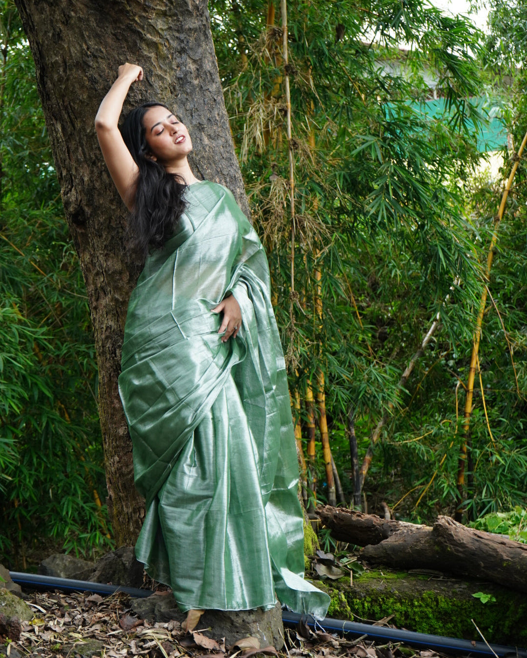 Aurevi- Tissue Silk Saree