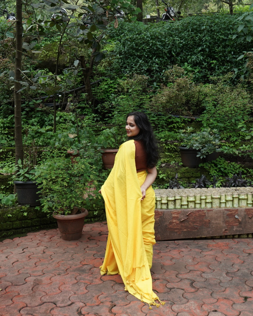 Vasudha