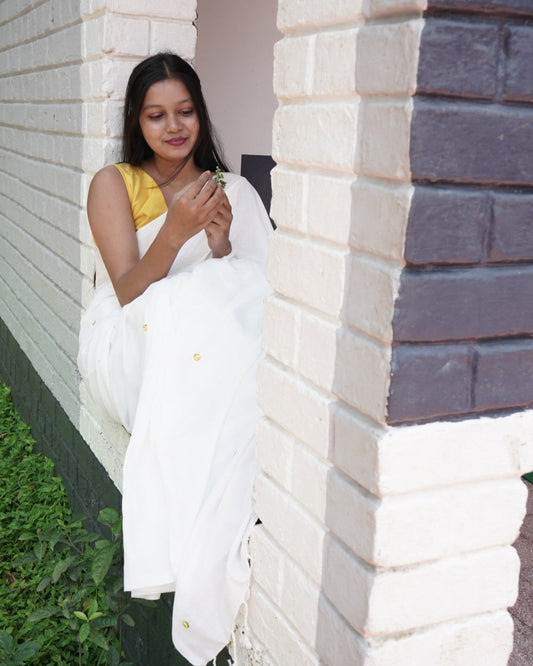 Shveta- Sequin Saree